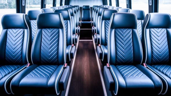 pearland 18 passenger minibus inside